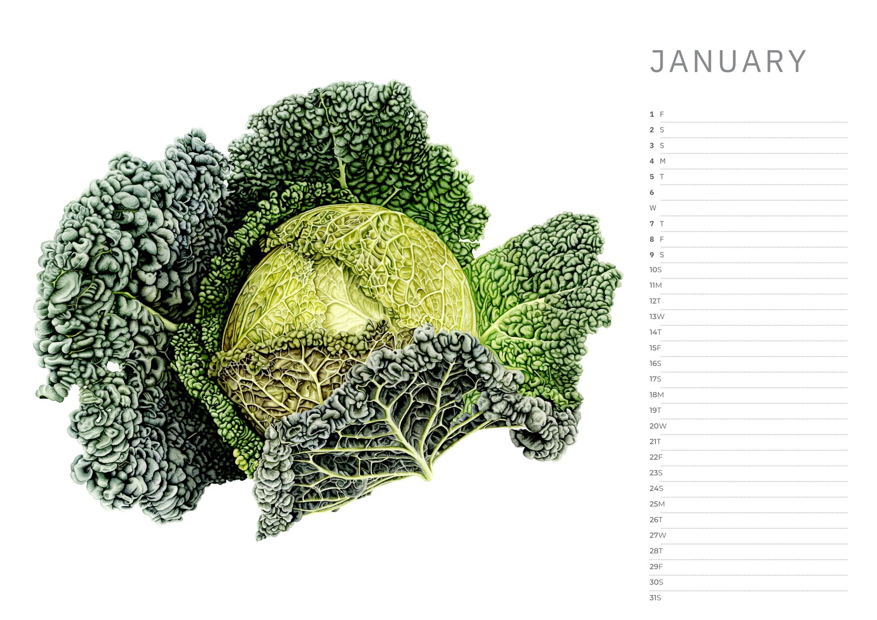 2027 Calendar (pre-order)