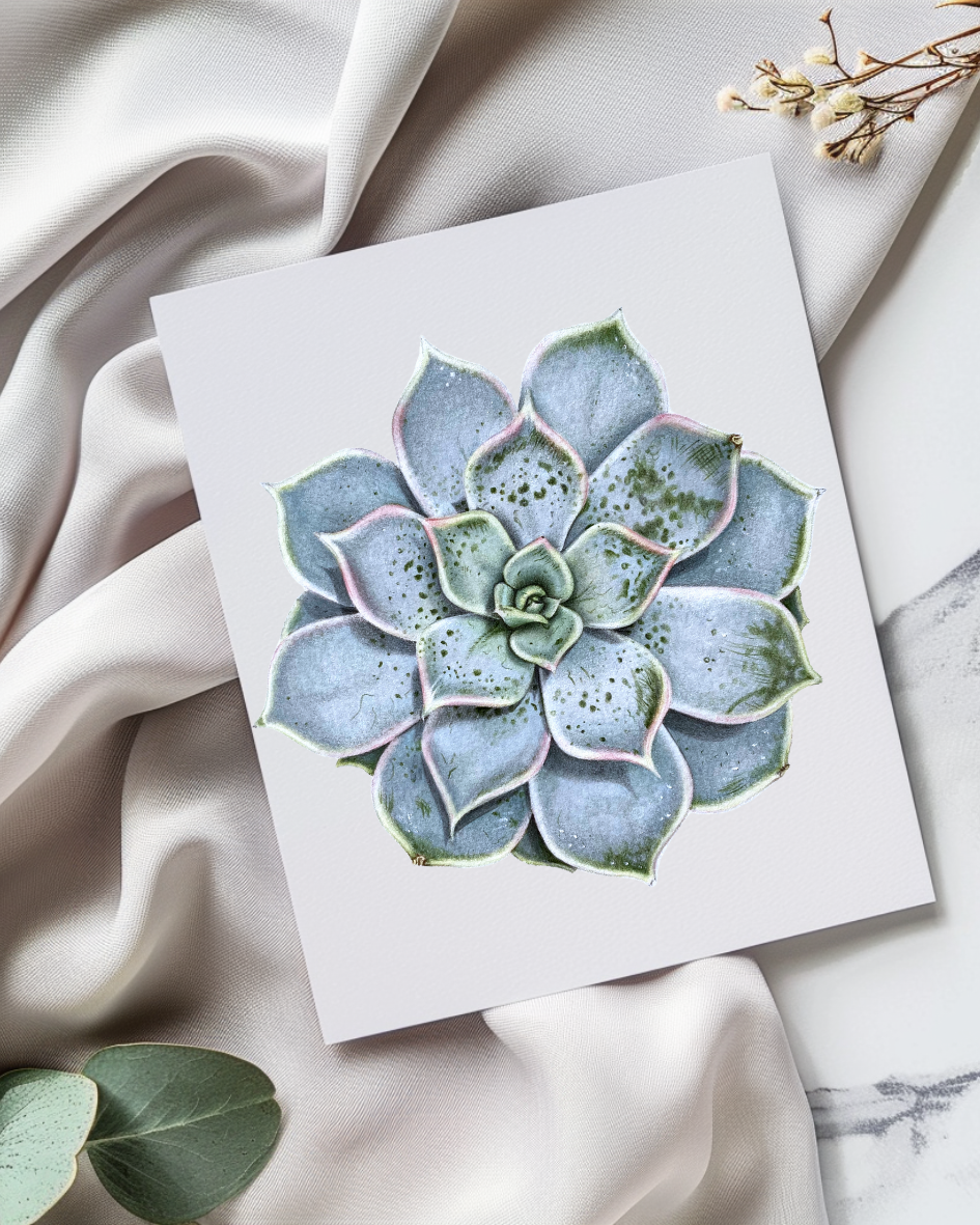 Greeting Card: Ghost Echeveria