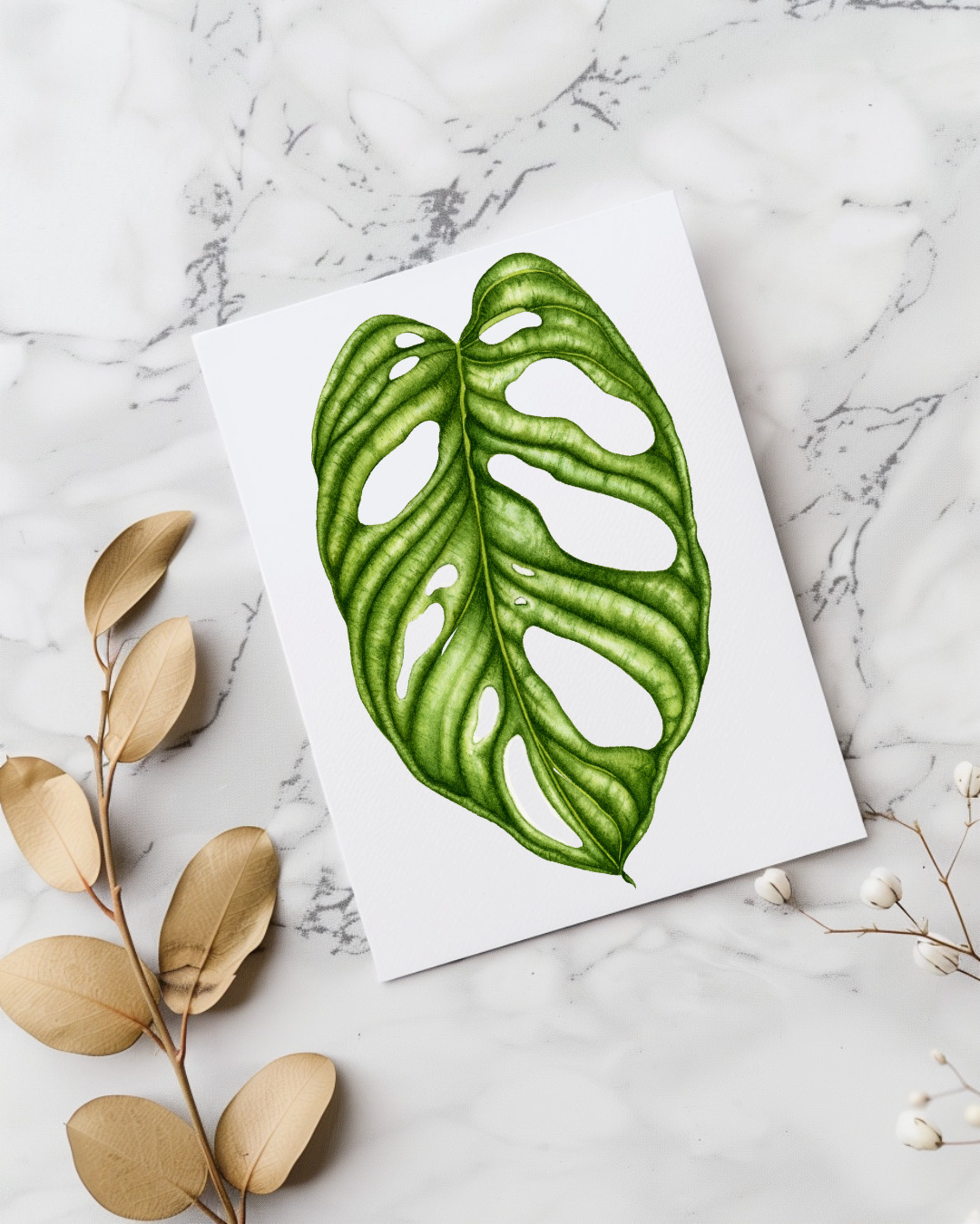 Postcard: Monstera