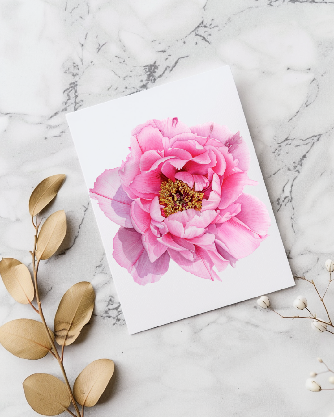 Postcard: Tree Peony