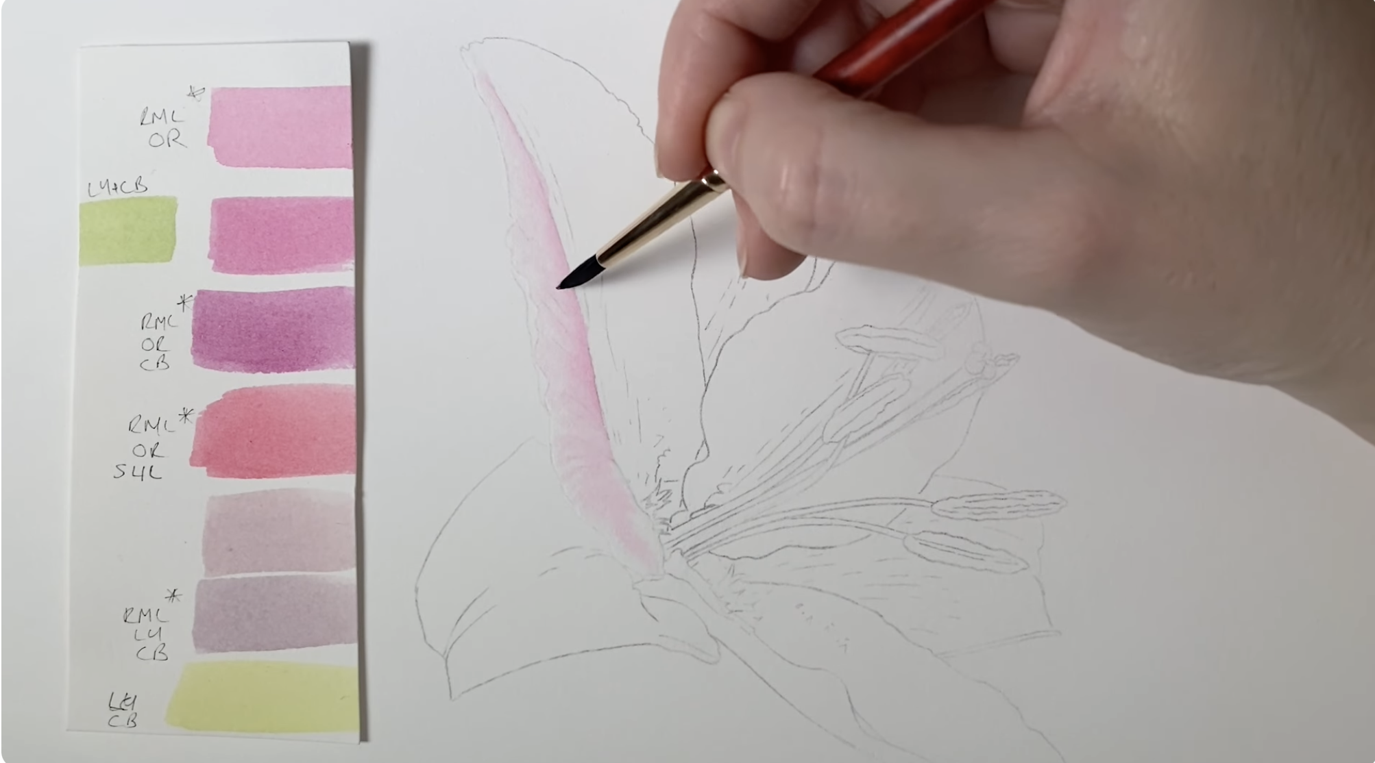 Painting an Oriental Lily in Watercolour: A Free Botanical Art Tutorial