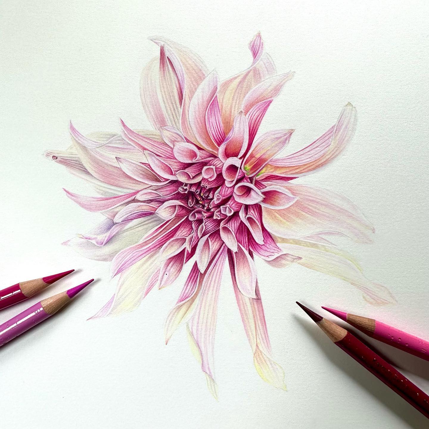 My Favourite Summer Plants to Paint