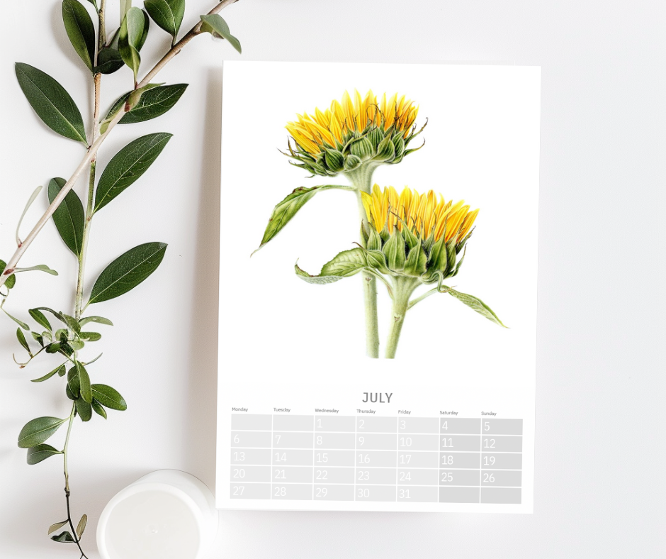 A Year in Bloom: The Creation of my 2026 Calendar