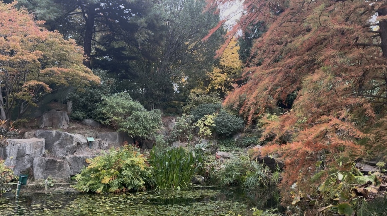 Botanical Inspiration: Spending a Day at Birmingham Botanical Gardens