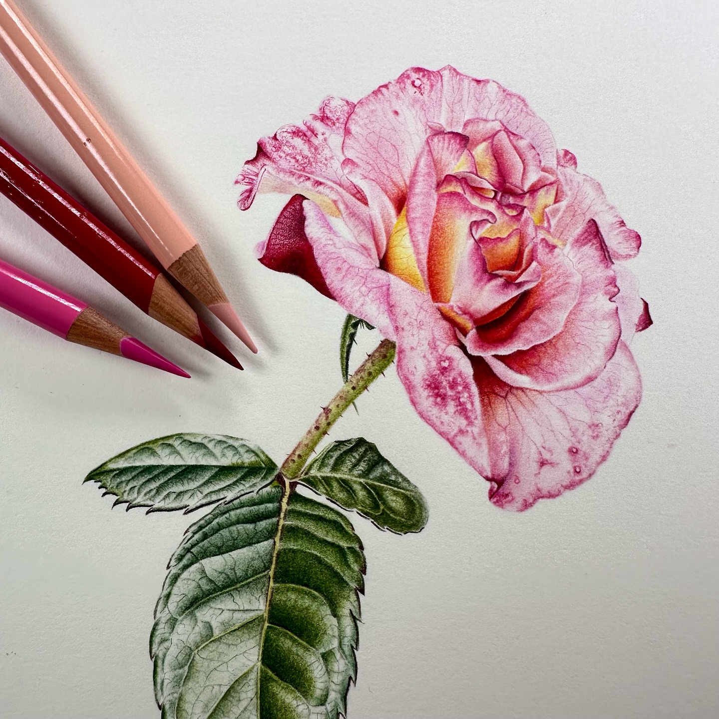 The Best Way to Learn Botanical Art Online