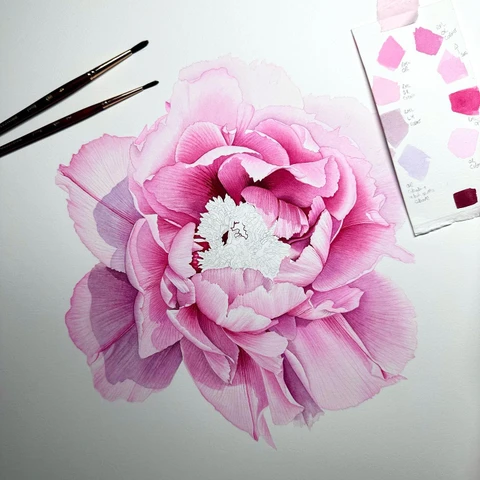 An image of a tree peony in process to feature on the calendar's cover page.